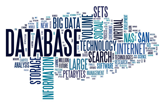 databaseweb1